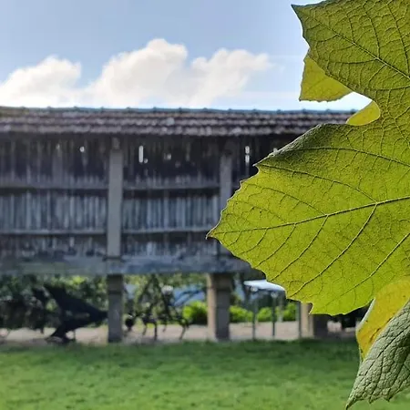 Летний дом Fogar Do Selmo Ройс