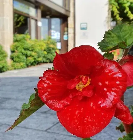 Fogar Do Selmo * Rois