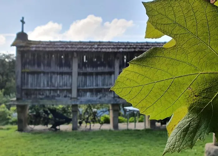 Kır Evi Fogar Do Selmo Rois