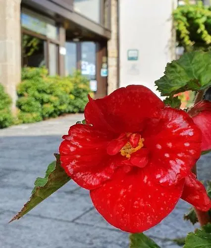 Fogar Do Selmo * Ройс